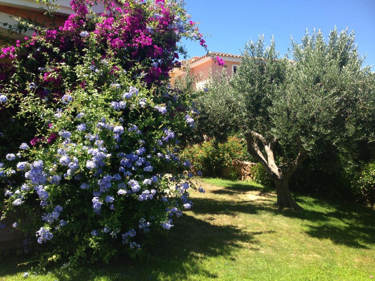 Tavolara Paradise * Porto San Paolo (Sardinia)