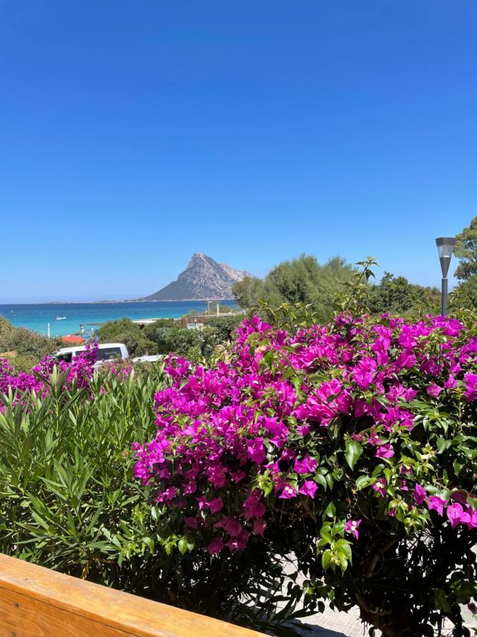 Tavolara Paradise Apartment Porto San Paolo (Sardinia)