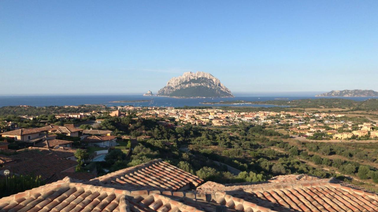 Apartment Tavolara Paradise Porto San Paolo (Sardinia)