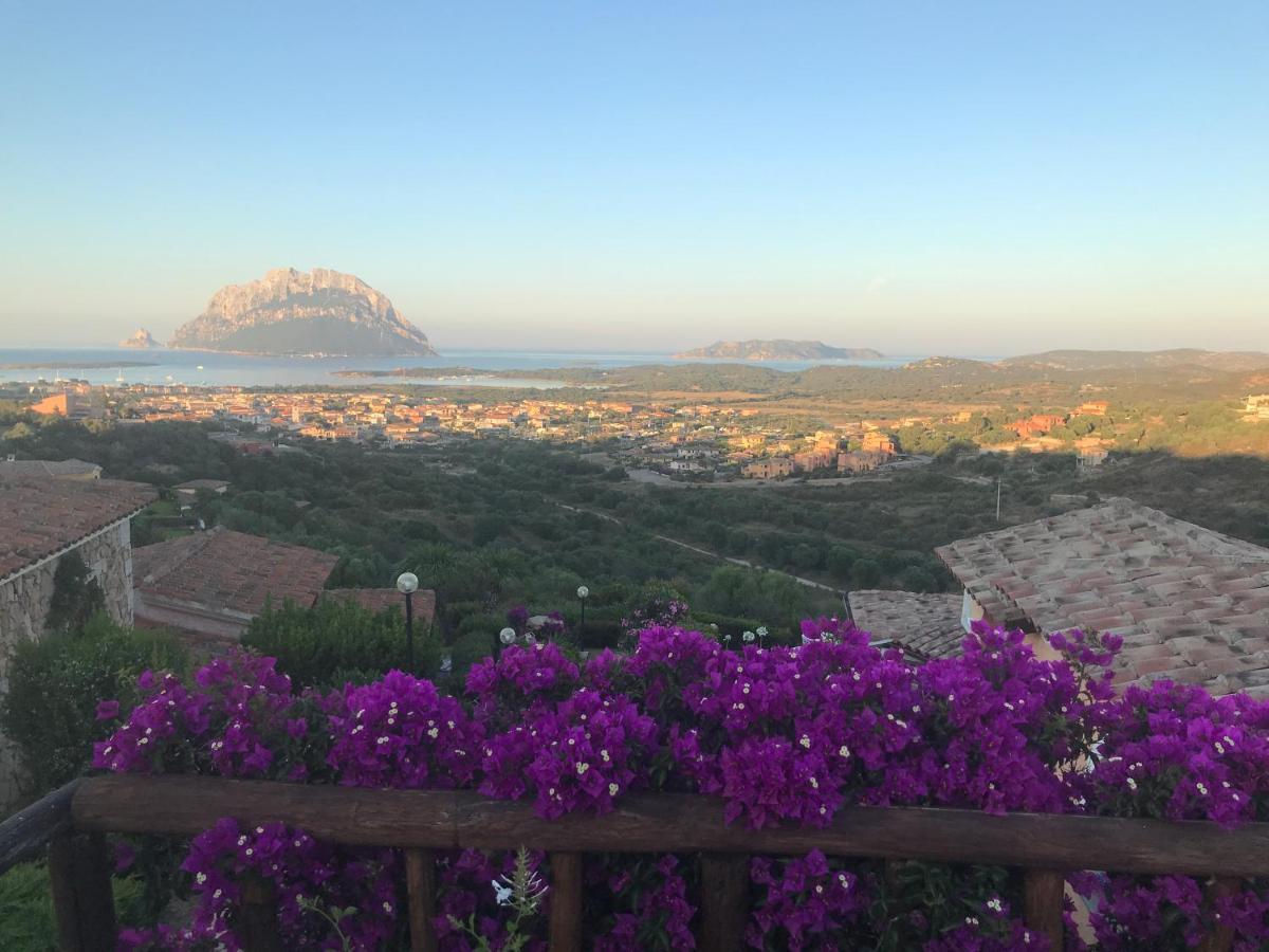 Tavolara Paradise Apartment