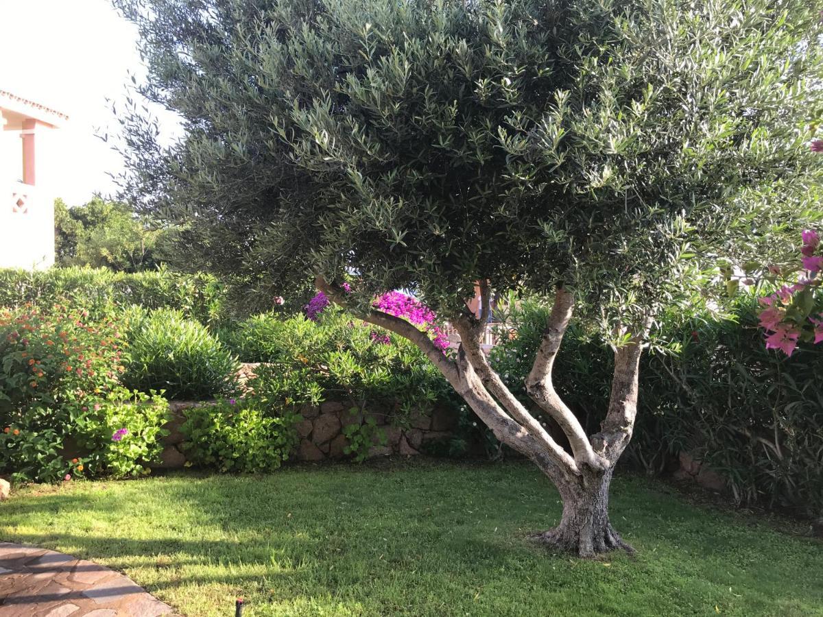 Apartment Tavolara Paradise Porto San Paolo (Sardinia)