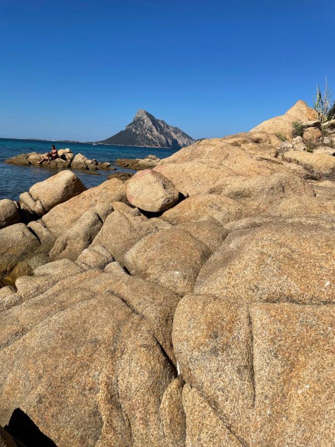 Incantevole Vicino A Tavolara Appartamento