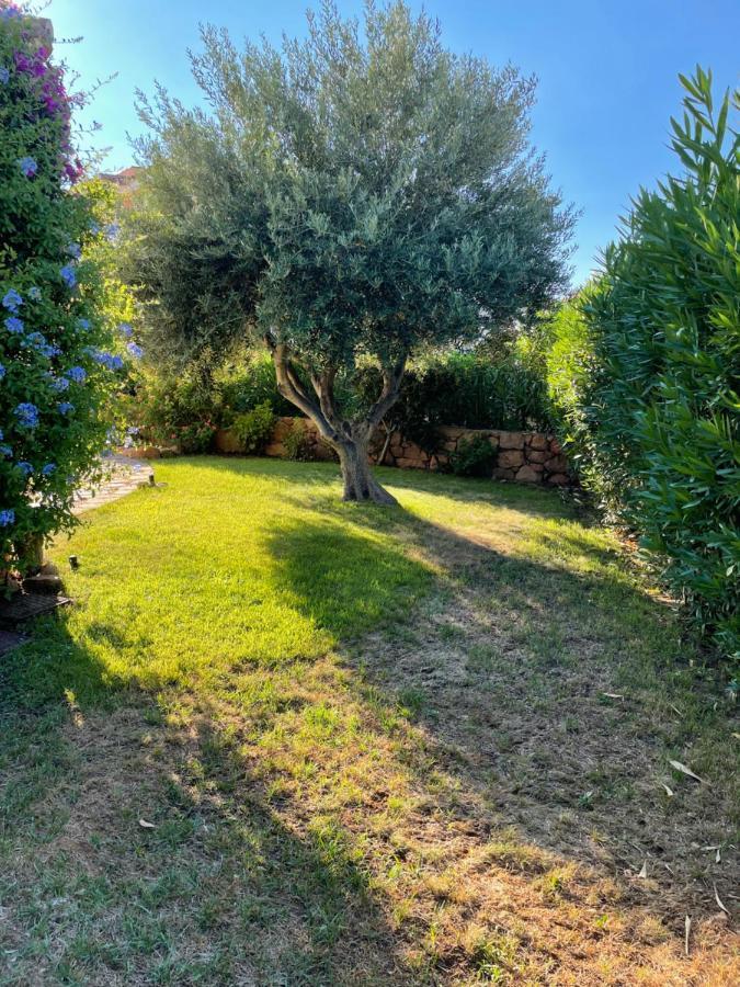 Appartamento Incantevole Vicino A Tavolara Porto San Paolo (Sardinia)
