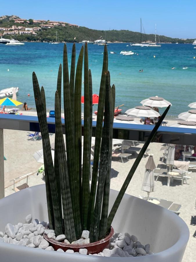 Incantevole Vicino A Tavolara * Porto San Paolo (Sardinia)